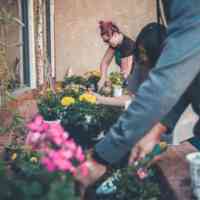 People planting flowers together in a community garden