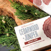 Schmidt's Cedarwood+Juniper Bar Soap on a wood block and surrounded by tree leaves